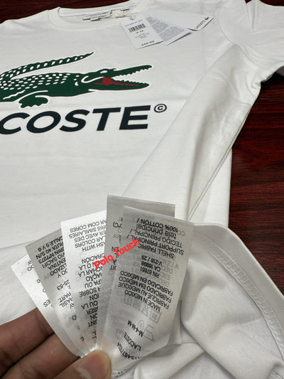 Lacoste T-Shirt Bulk Supplier Wholesale Export from Bangladesh